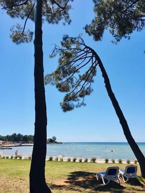 Apartmani Niel Umag